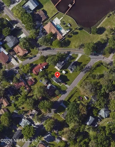 a green field with lots of plants and flowers