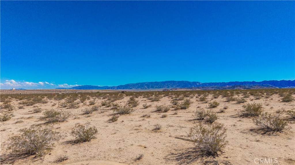 77 Copper Moon Lane Joshua Tree, CA 92252 - Photo 12 of 24