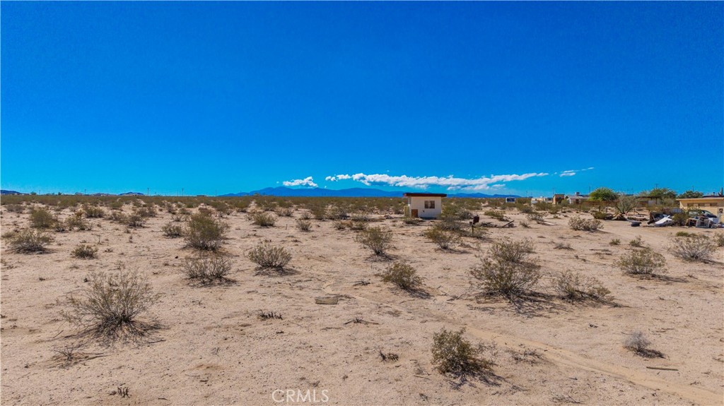 77 Copper Moon Lane Joshua Tree, CA 92252 - Photo 13 of 24 a view of a dry yard with trees in the background