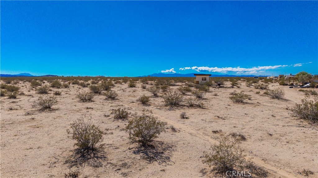 77 Copper Moon Lane Joshua Tree, CA 92252 - Photo 15 of 24 a view of a dry yard with trees in the background