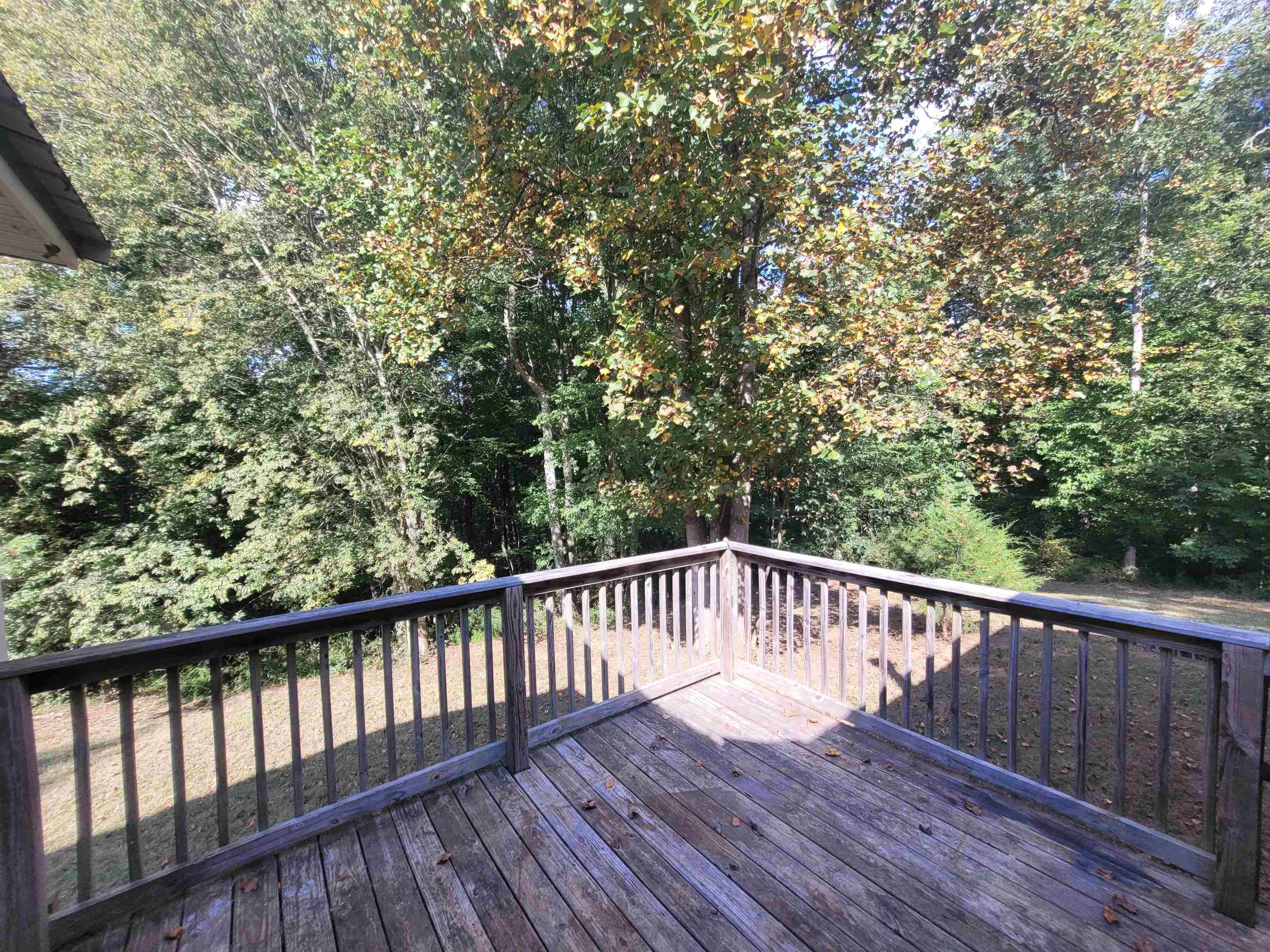 122 Hughey Lake Road Blacksburg, SC 29702 - Photo 6 of 22 Gallery Image 6