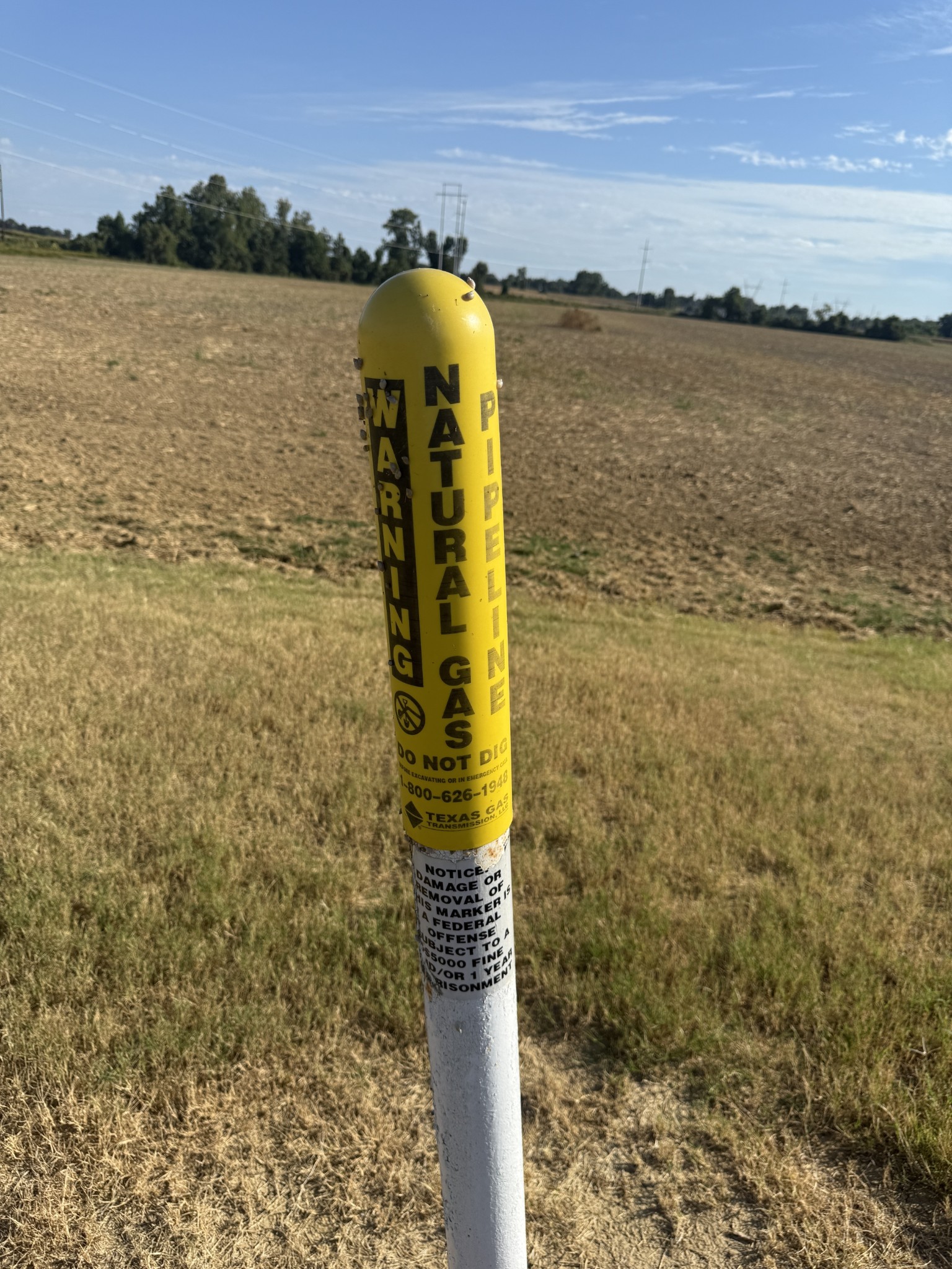1469 South Main Street Covington, TN 38019 - Photo 16 of 20 a view of a lake view