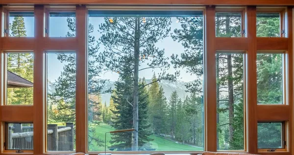 a view of a garden from a window