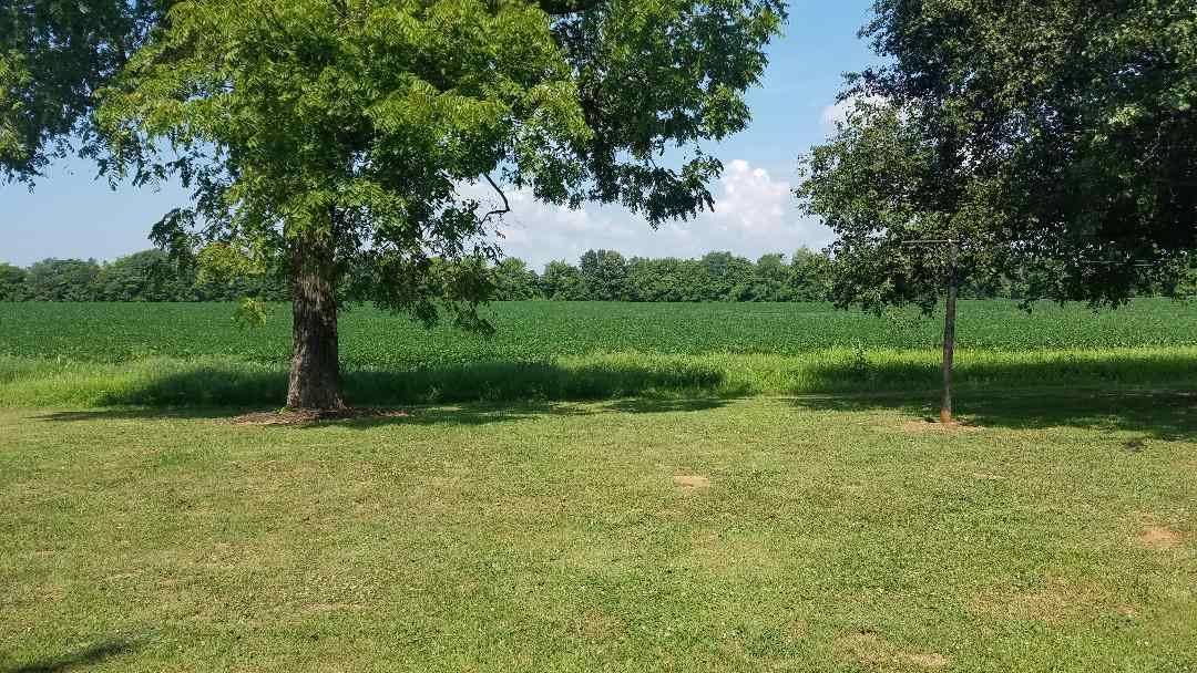1321 Minnicks-Johnson Road Franklin, KY 42134 - Photo 18 of 21 Gallery Image 18