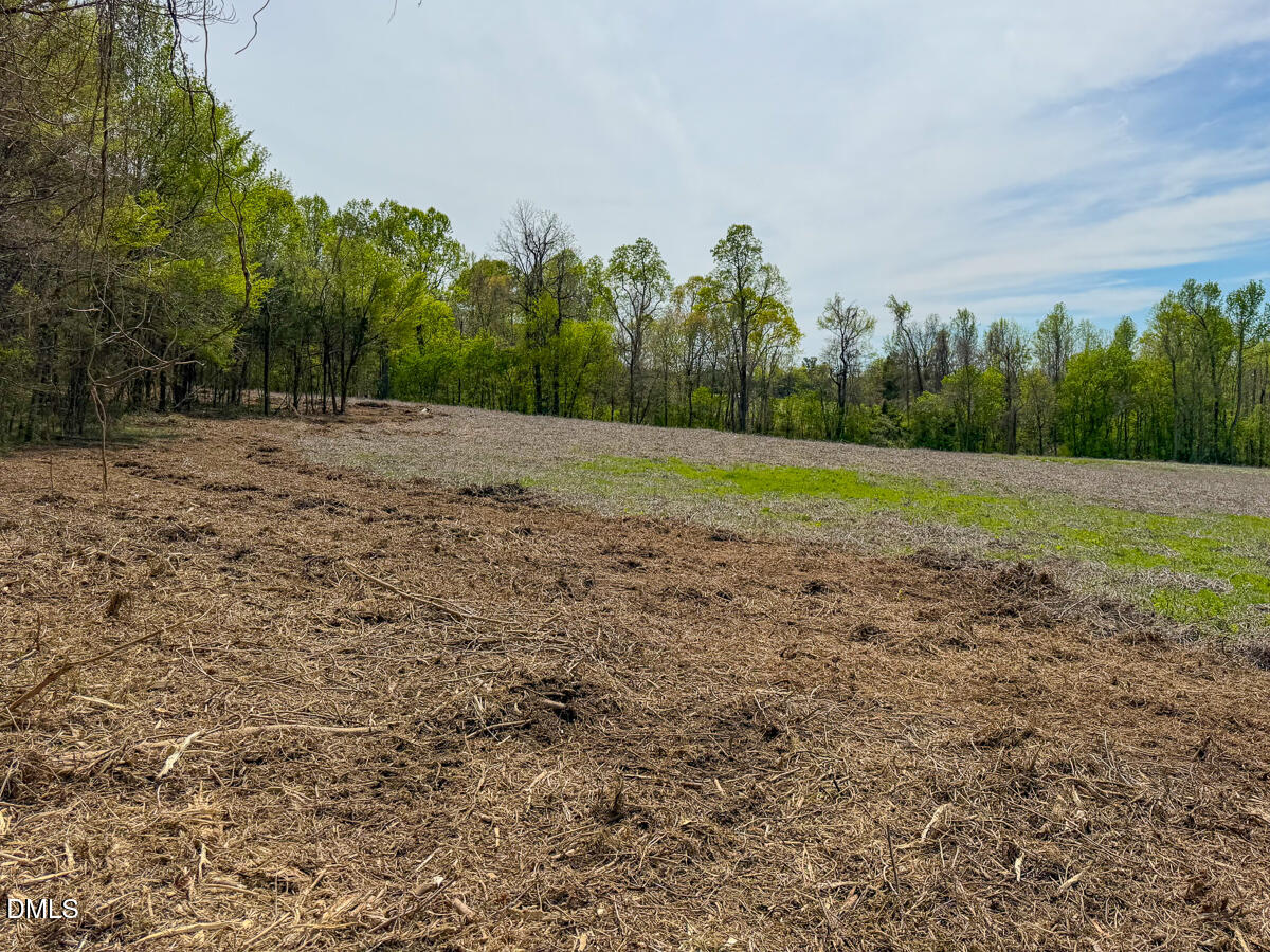 0 Pentecost Road Cedar Grove, NC 27231 - Photo 3 of 45