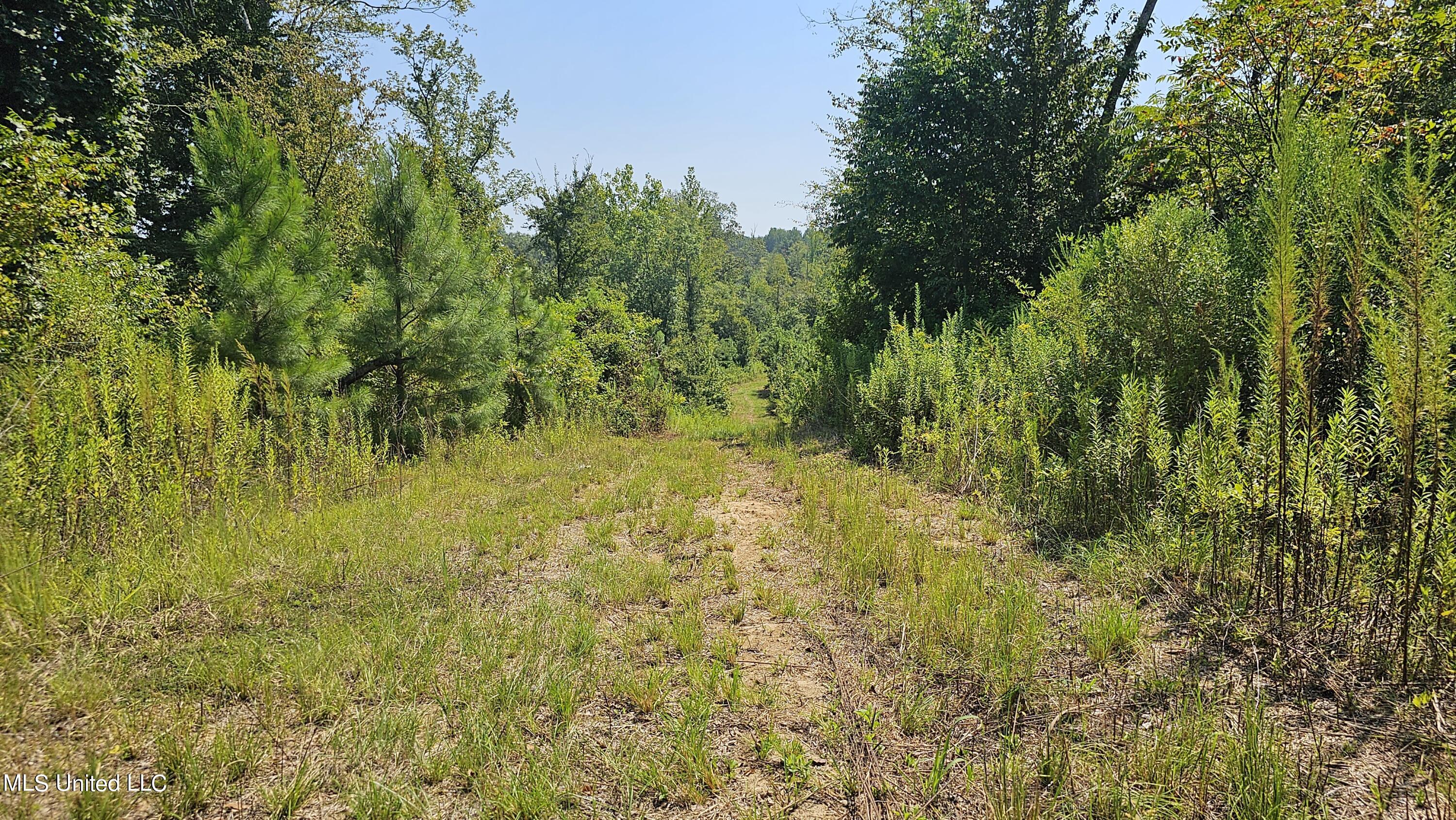 Rathell Road Lexington, MS 39095 - Photo 1 of 27 Holmes 225