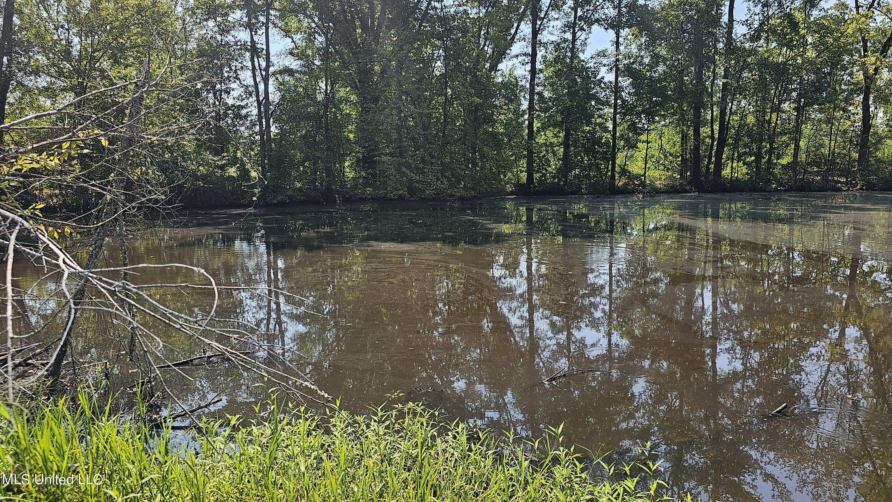 Rathell Road Lexington, MS 39095 - Photo 11 of 27 20230821_110530