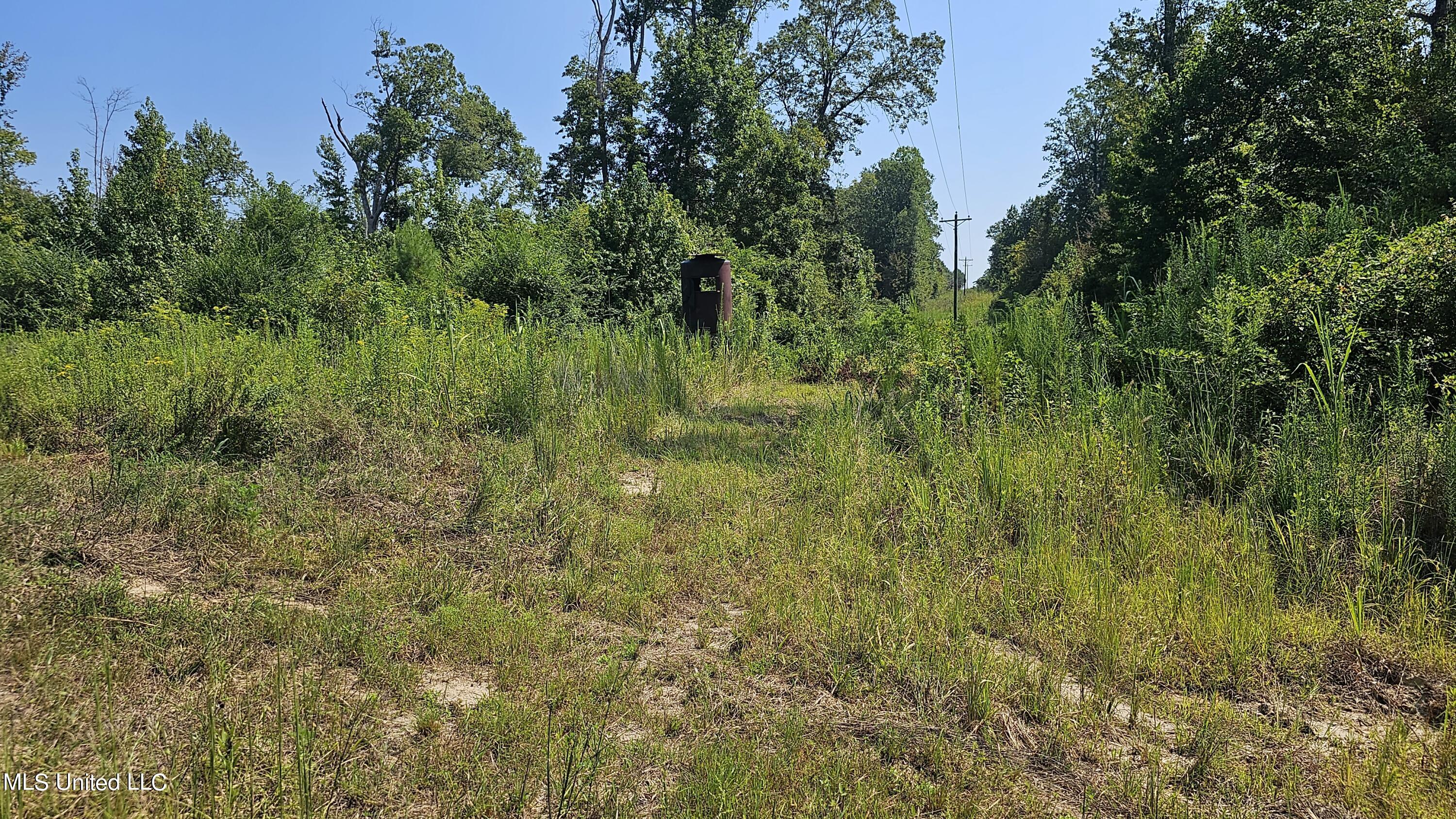 Rathell Road Lexington, MS 39095 - Photo 12 of 27 20230821_111544