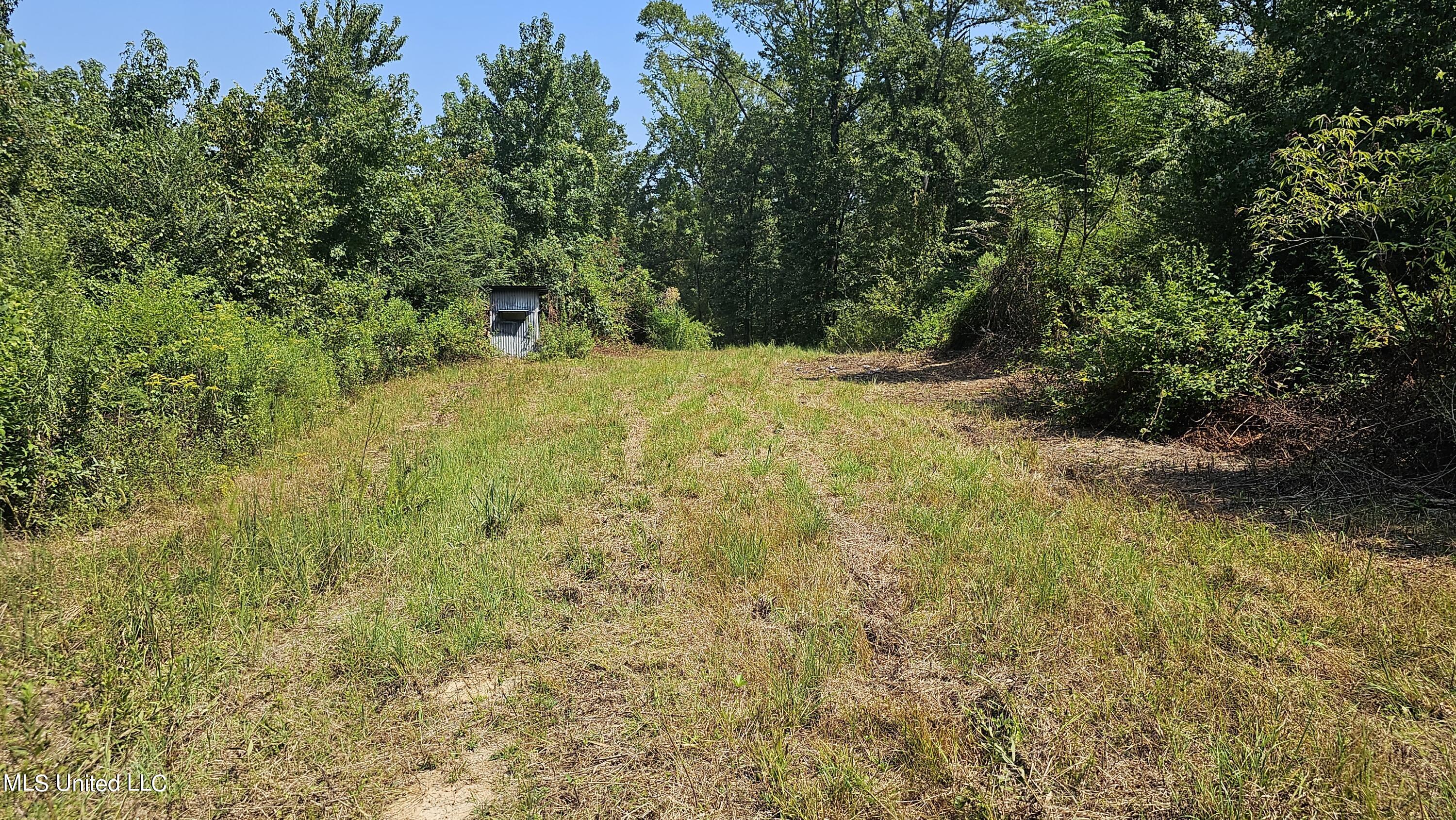 Rathell Road Lexington, MS 39095 - Photo 13 of 27 20230821_111916