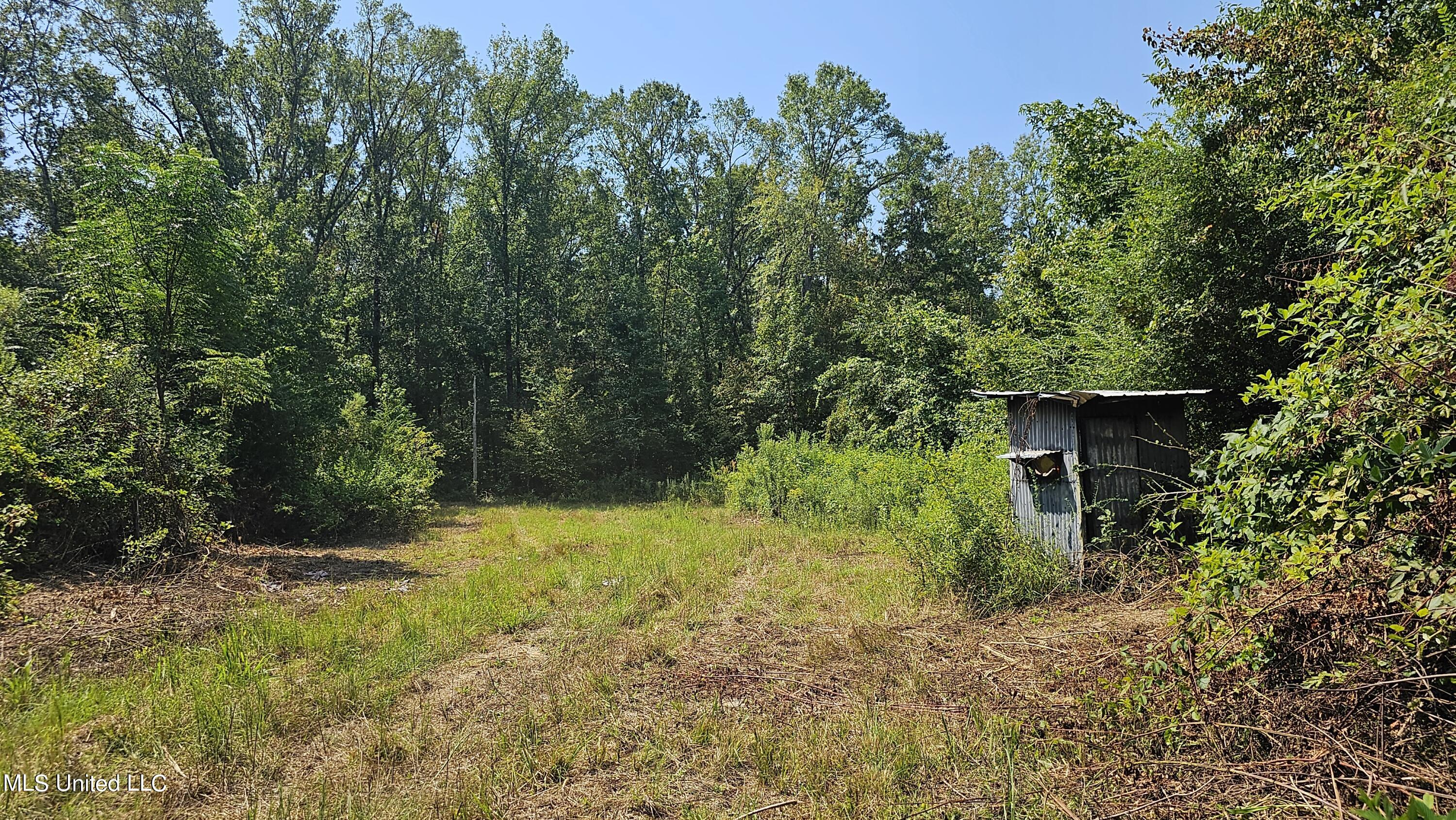 Rathell Road Lexington, MS 39095 - Photo 14 of 27 20230821_112206