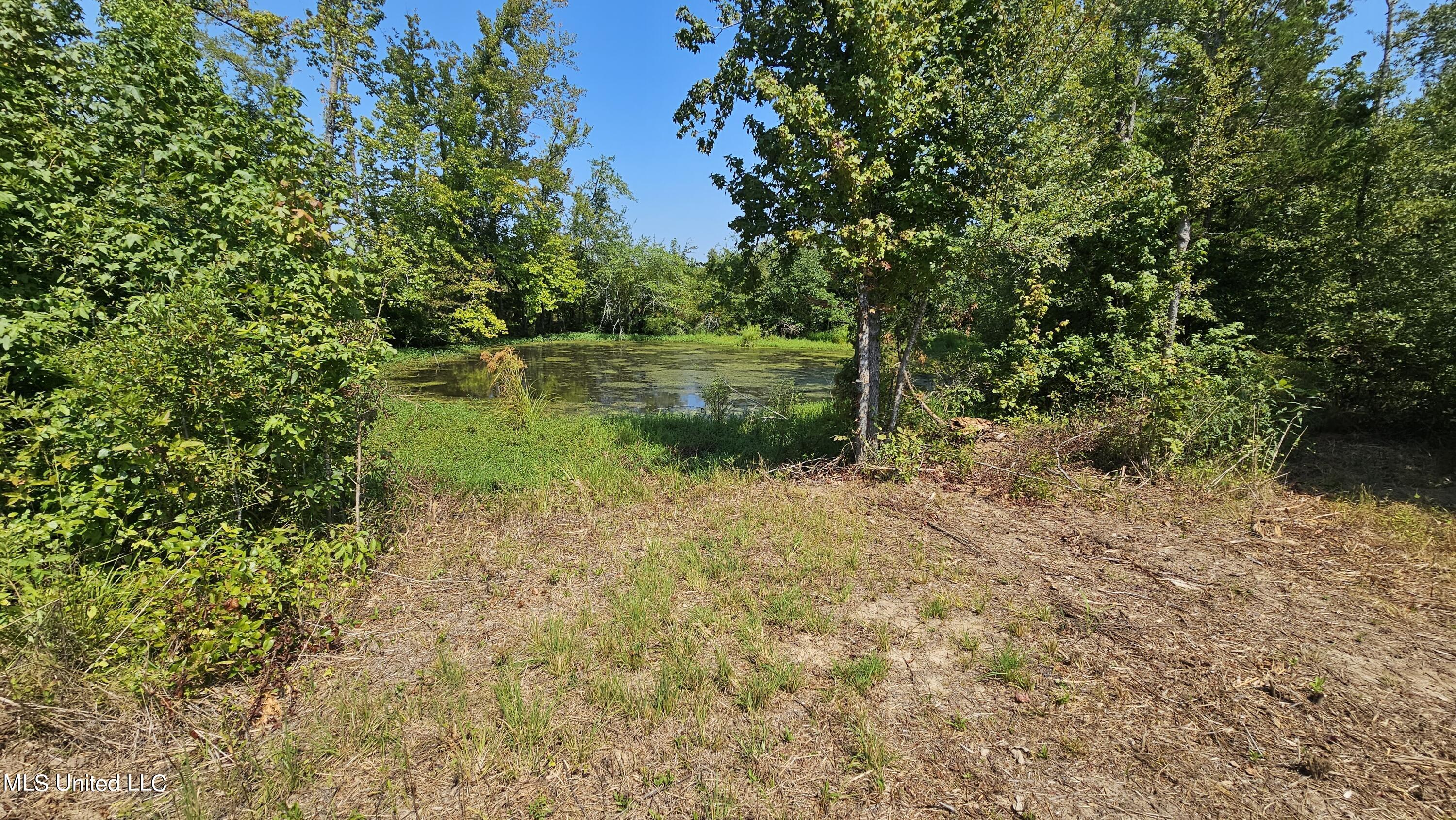 Rathell Road Lexington, MS 39095 - Photo 15 of 27 20230821_112627