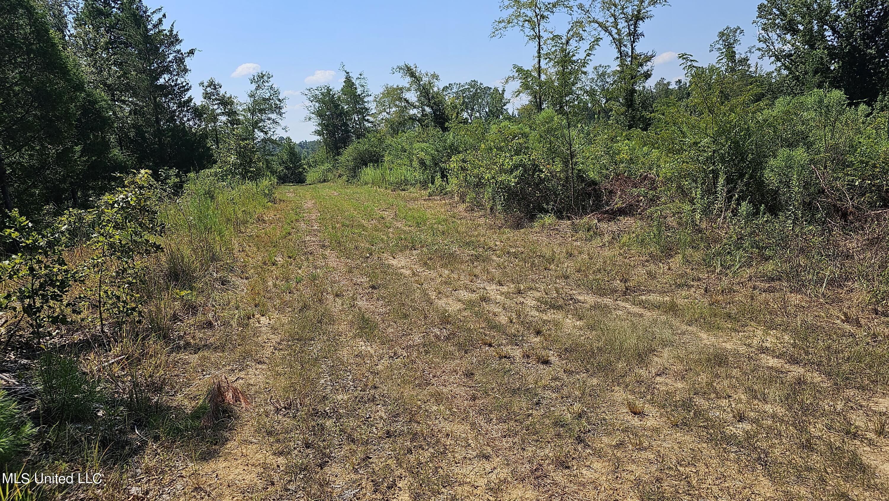 Rathell Road Lexington, MS 39095 - Photo 17 of 27 20230821_113744