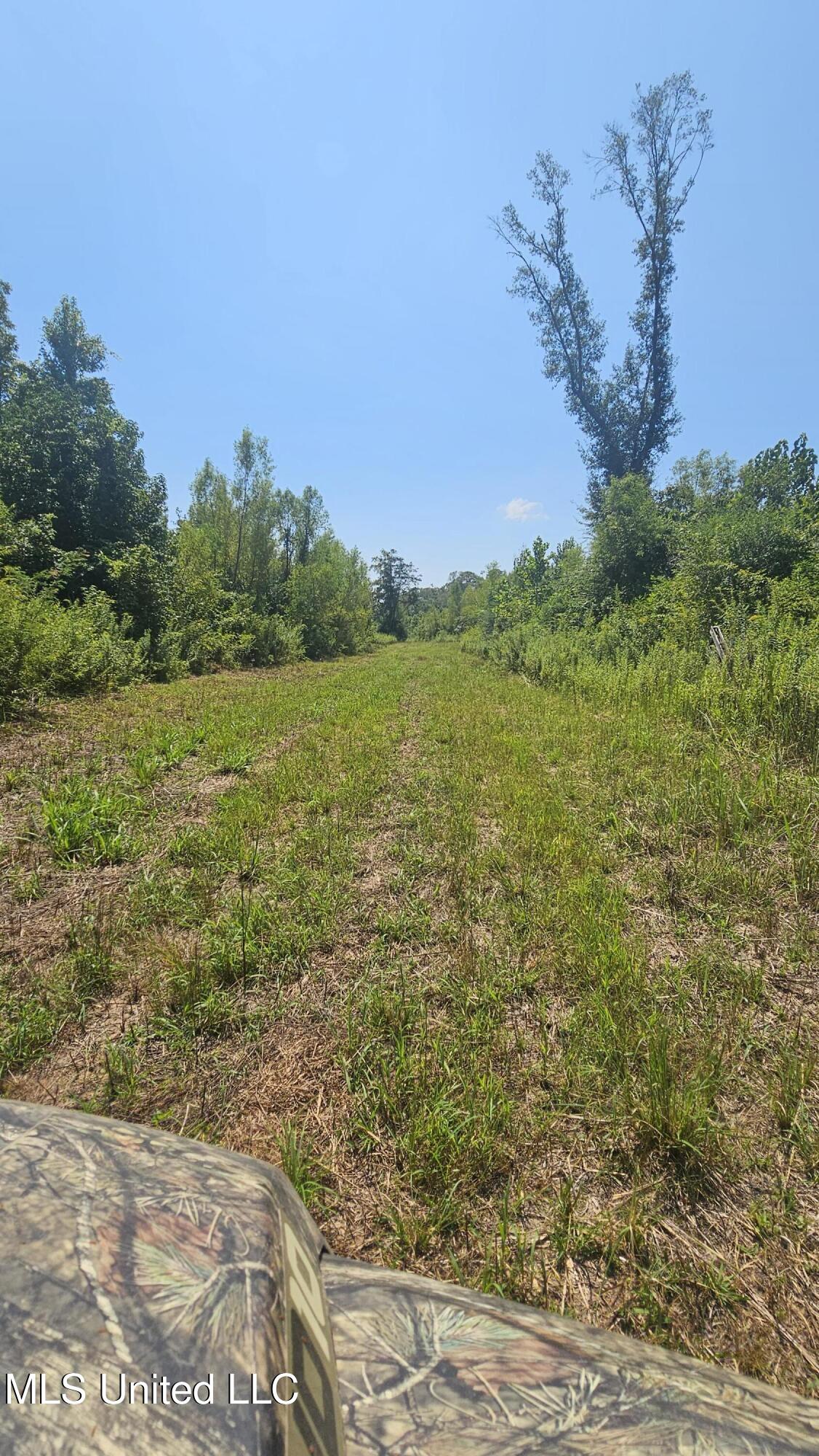 Rathell Road Lexington, MS 39095 - Photo 20 of 27 20230821_115939