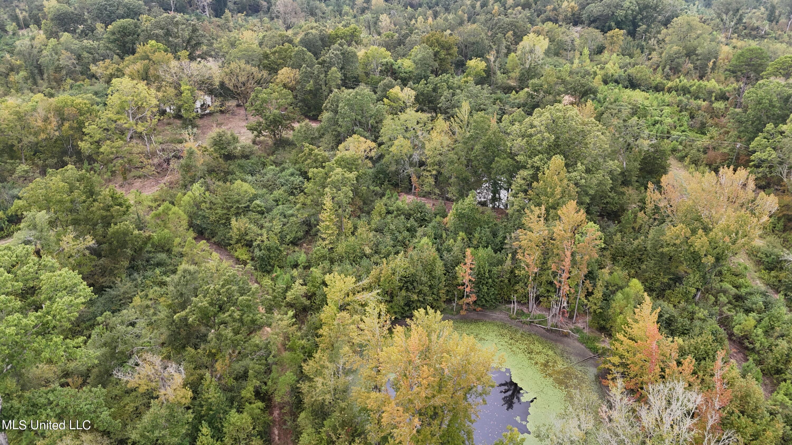 Rathell Road Lexington, MS 39095 - Photo 23 of 27 dji_fly_20230920_165032_0052_16953019368