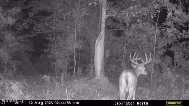 Rathell Road Lexington, MS 39095 - Photo 3 of 27 downloaded638274254192582180_98321399345