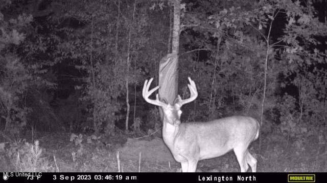 Rathell Road Lexington, MS 39095 - Photo 6 of 27 downloaded638293294779972400