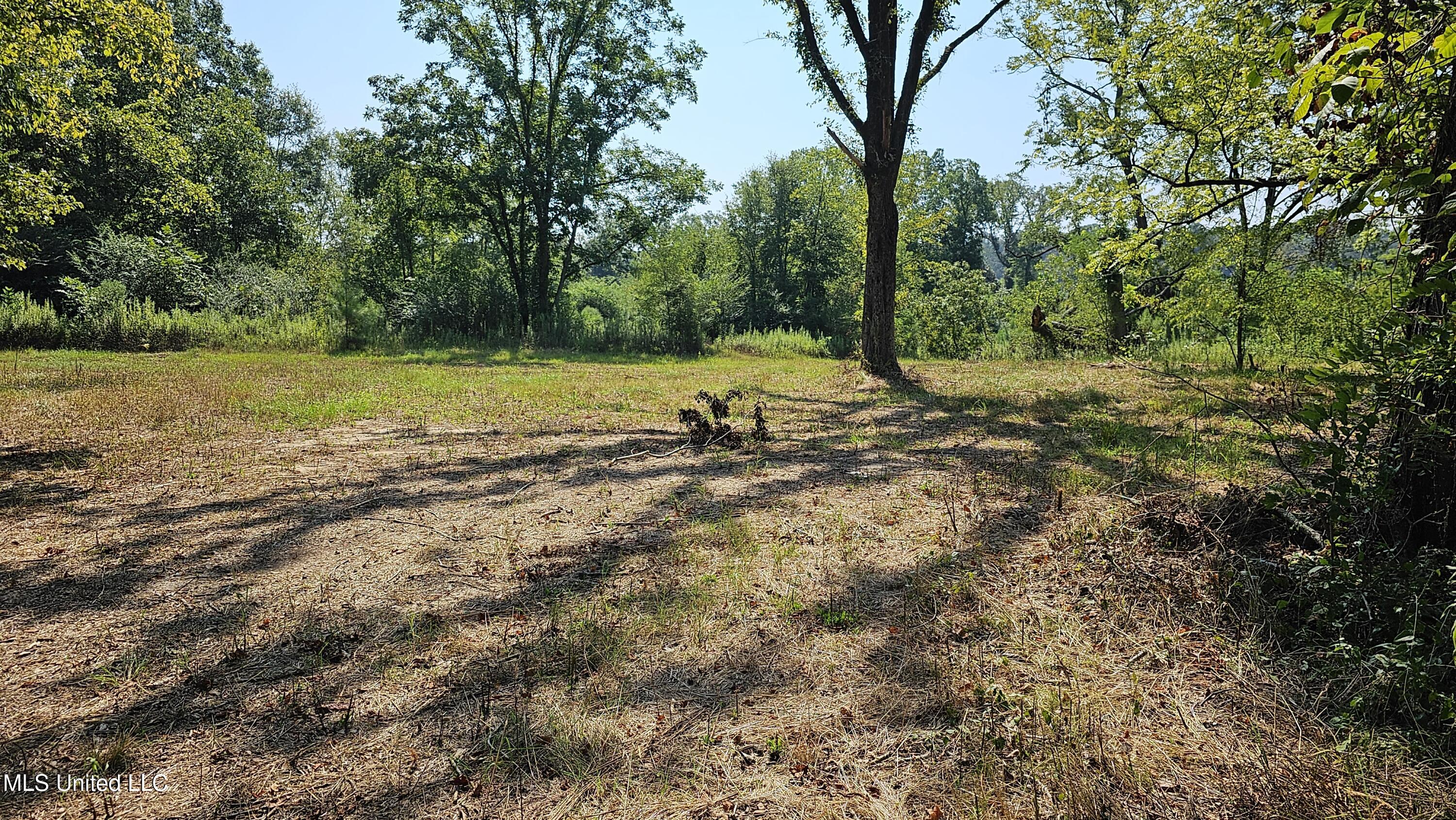 Rathell Road Lexington, MS 39095 - Photo 8 of 27 20230821_104305