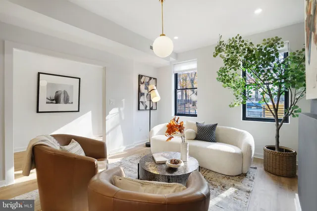 a living room with furniture and a potted plant