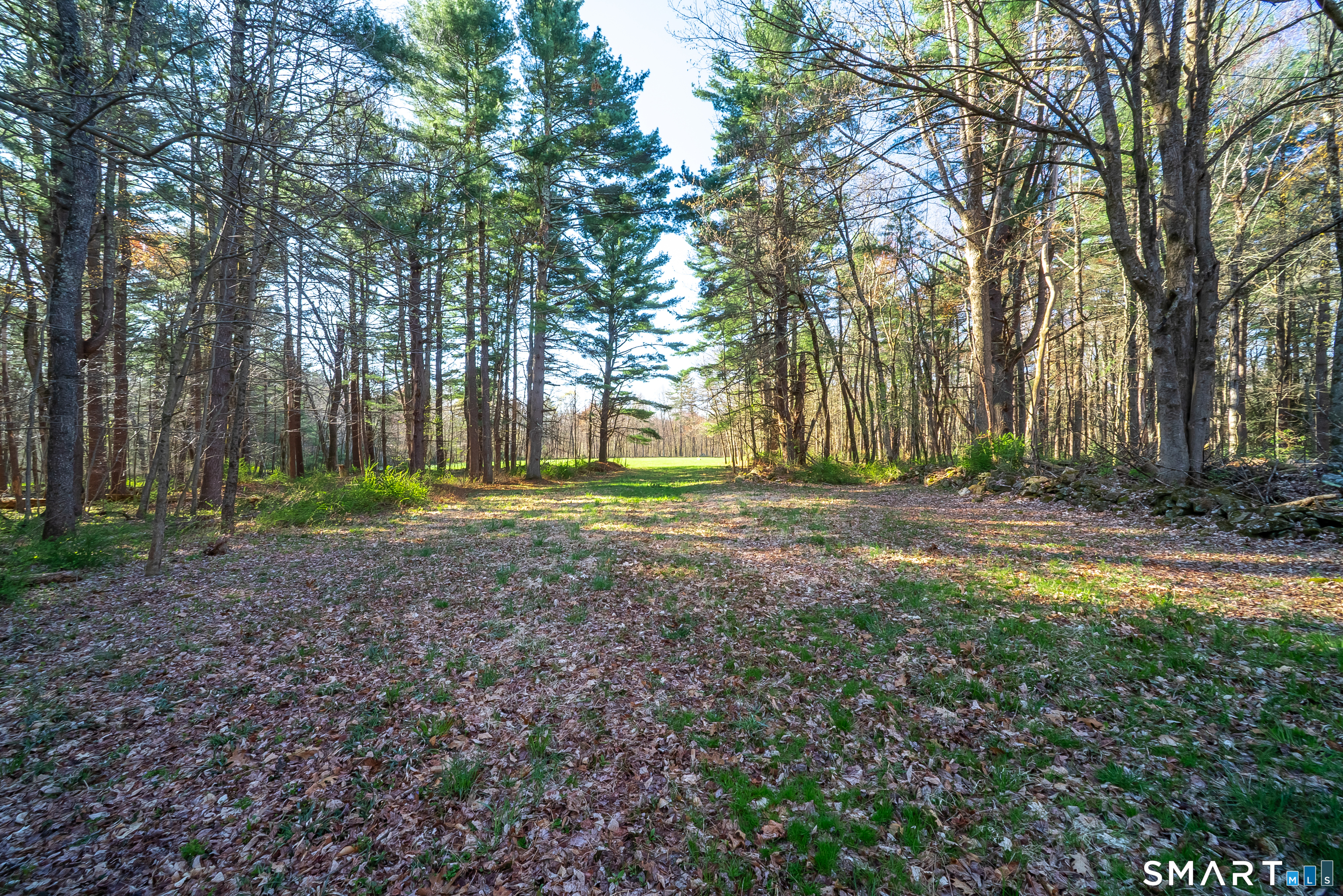 28 Cemetery Road Willington, CT 06279 - Photo 36 of 40