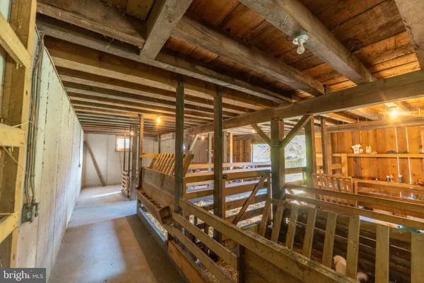 a view of a lush green forest with lots of trees