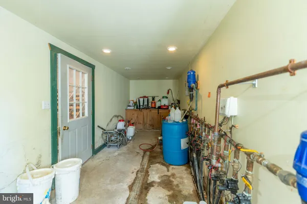 a view of a lush green forest with a lake view