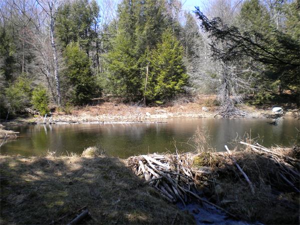 30 Allen Coit Road Huntington, MA 01050 - Photo 7 of 21