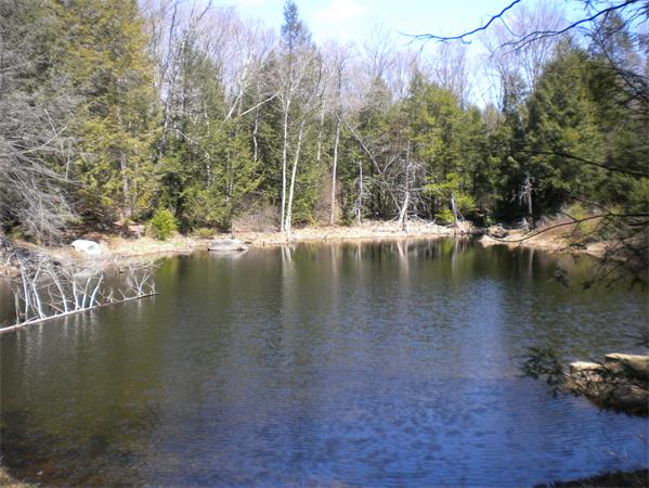 30 Allen Coit Road Huntington, MA 01050 - Photo 9 of 21
