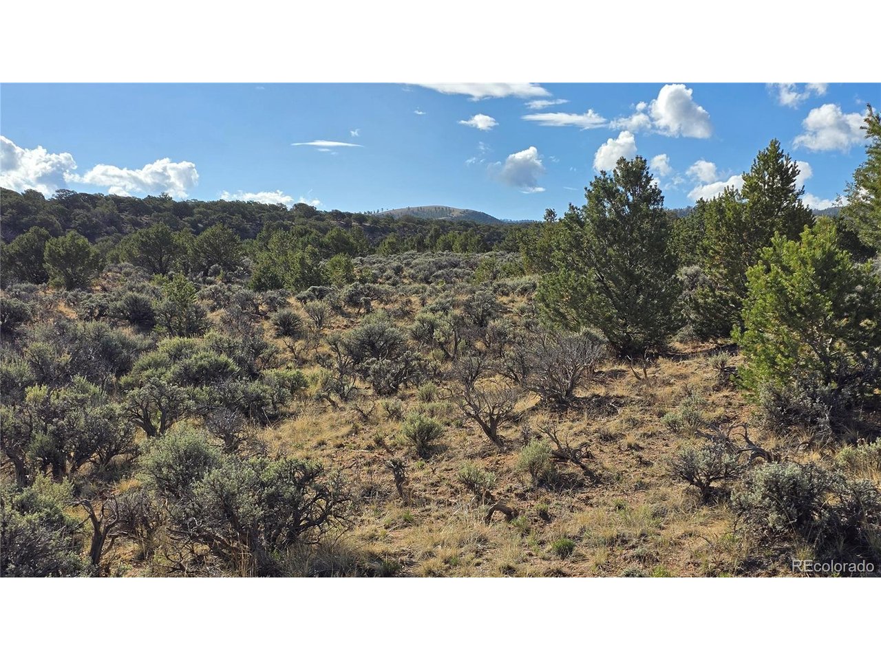 7340 Sweany Road Fort Garland, CO 81133 - Photo 14 of 31