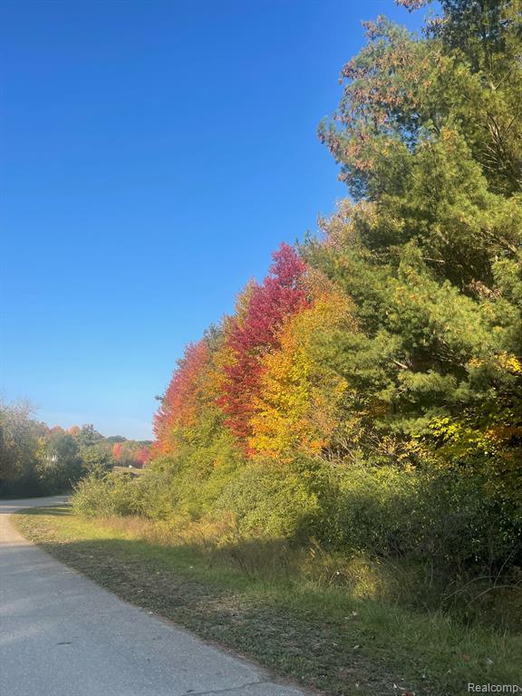 0 Mill Road Dryden, MI 48428 - Photo 17 of 18