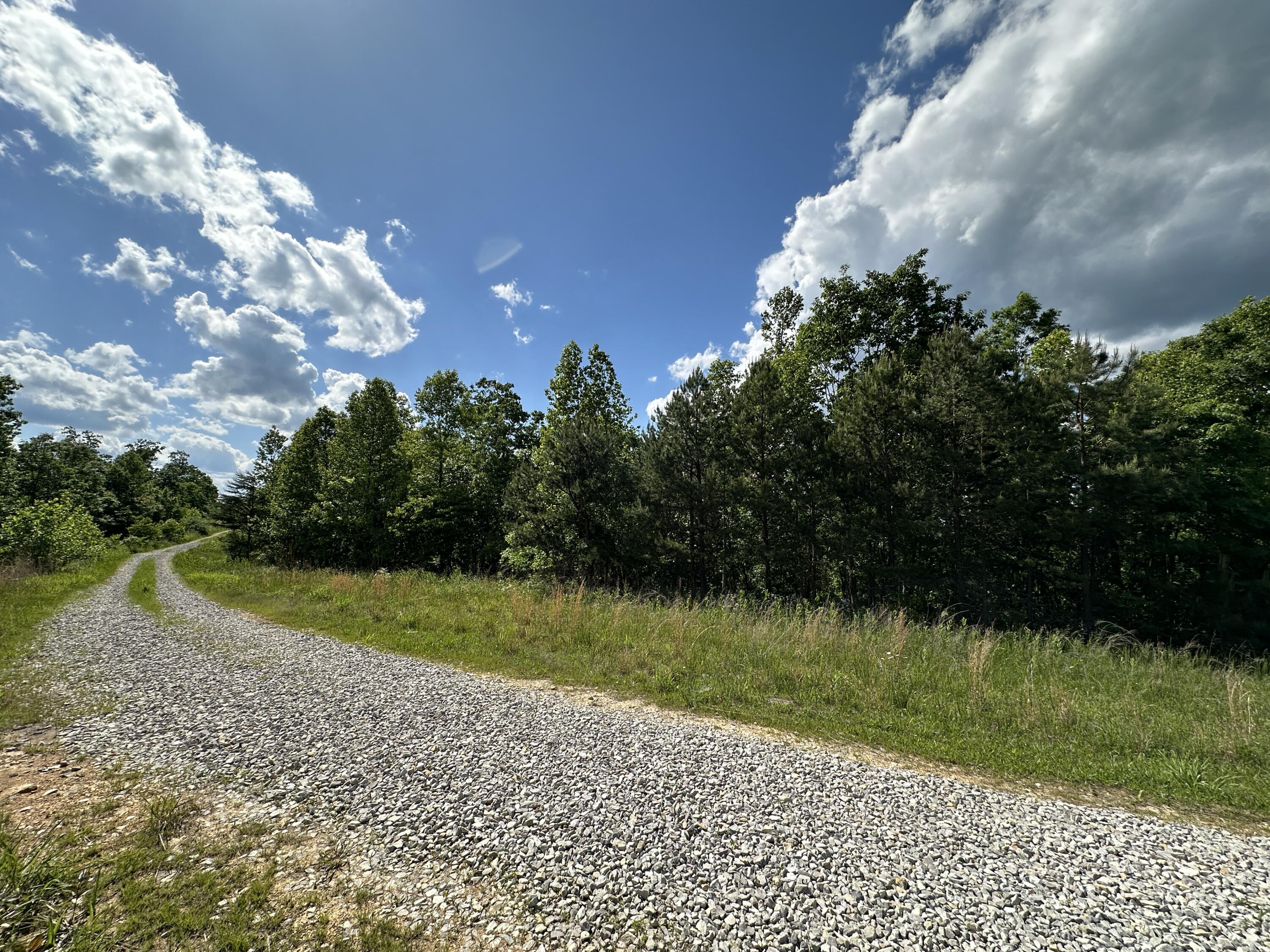 14 Williams Creek Road Denton, KY 41132 - Photo 7 of 29 6