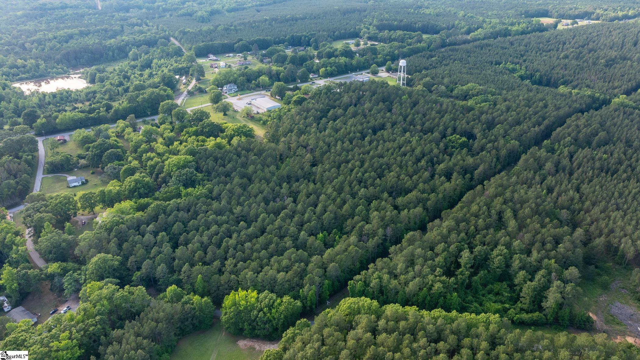 11277 Highway 221 Waterloo, SC 29384 - Photo 20 of 21