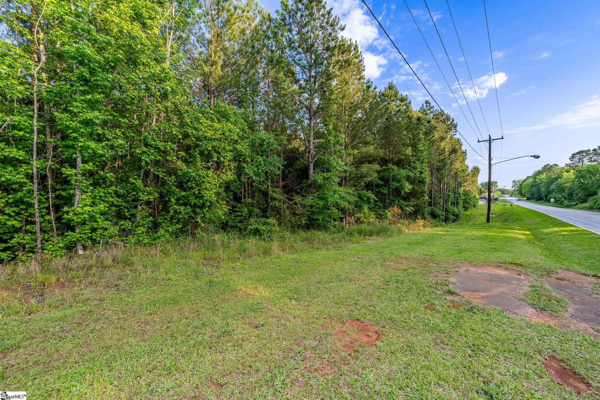 11277 Highway 221 Waterloo, SC 29384 - Photo 3 of 21