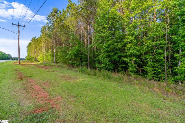 $599,000 | 11277 Highway 221, Waterloo, SC 29384