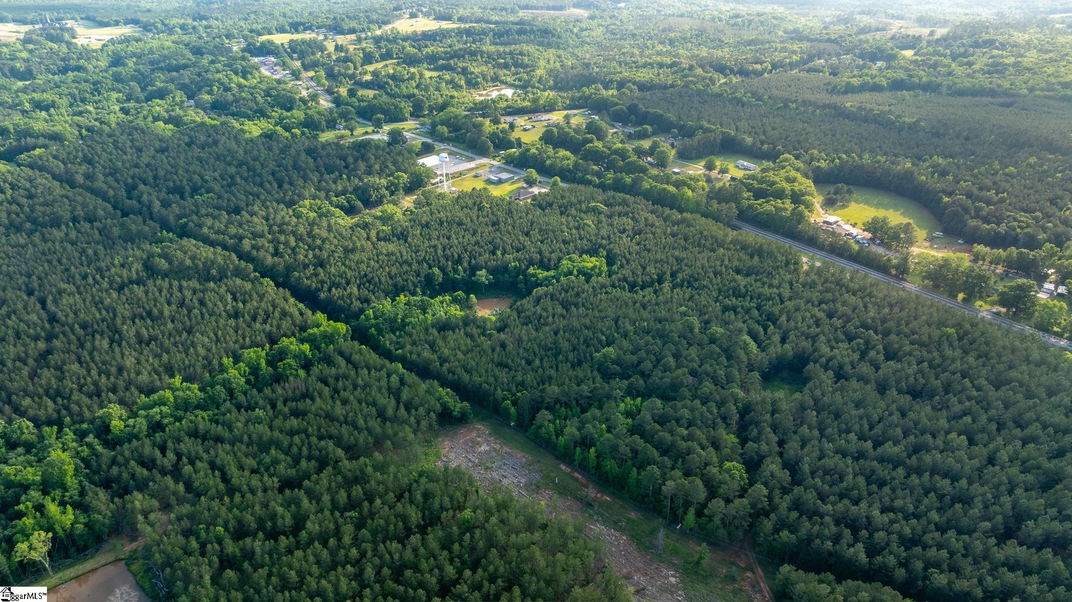 11277 Highway 221 Waterloo, SC 29384 - Photo 10 of 21