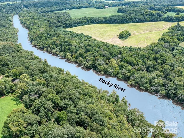 an aerial view of green landscape with trees houses and lake view