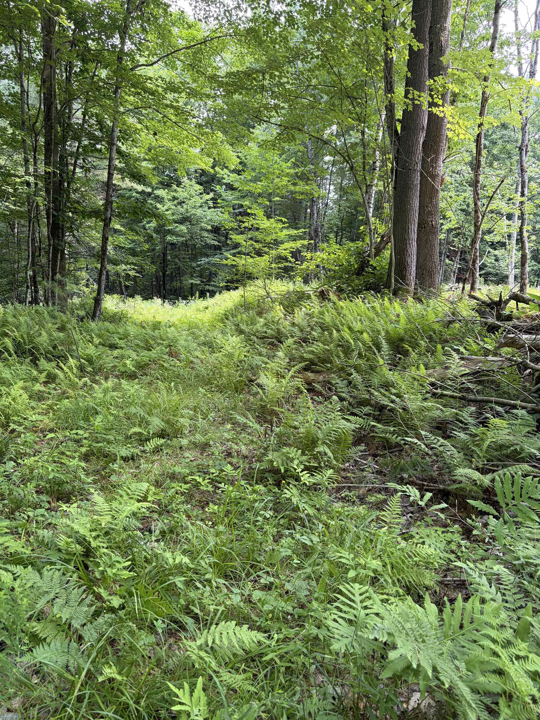 100 Ledge Road Lisbon, NH 03585 - Photo 2 of 9
