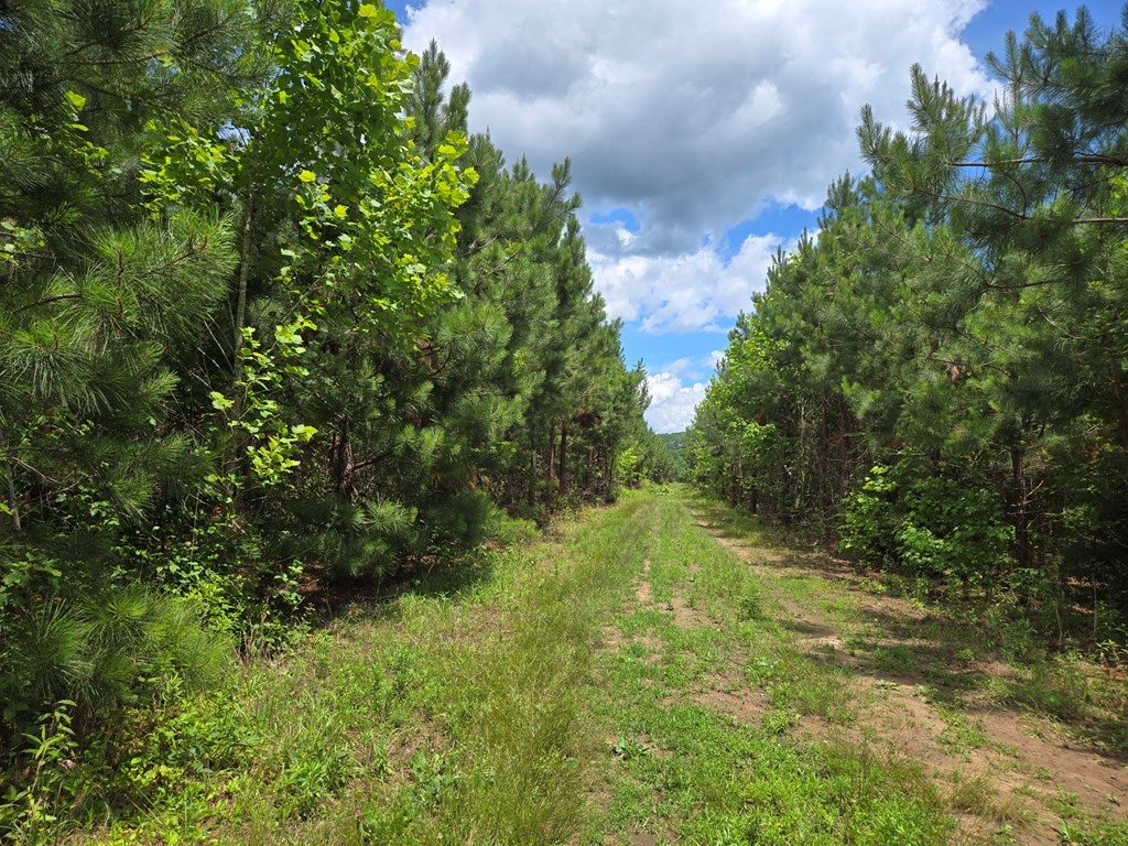 56 James River Road Wingina, VA 24599 - Photo 13 of 13 Gallery Image 13