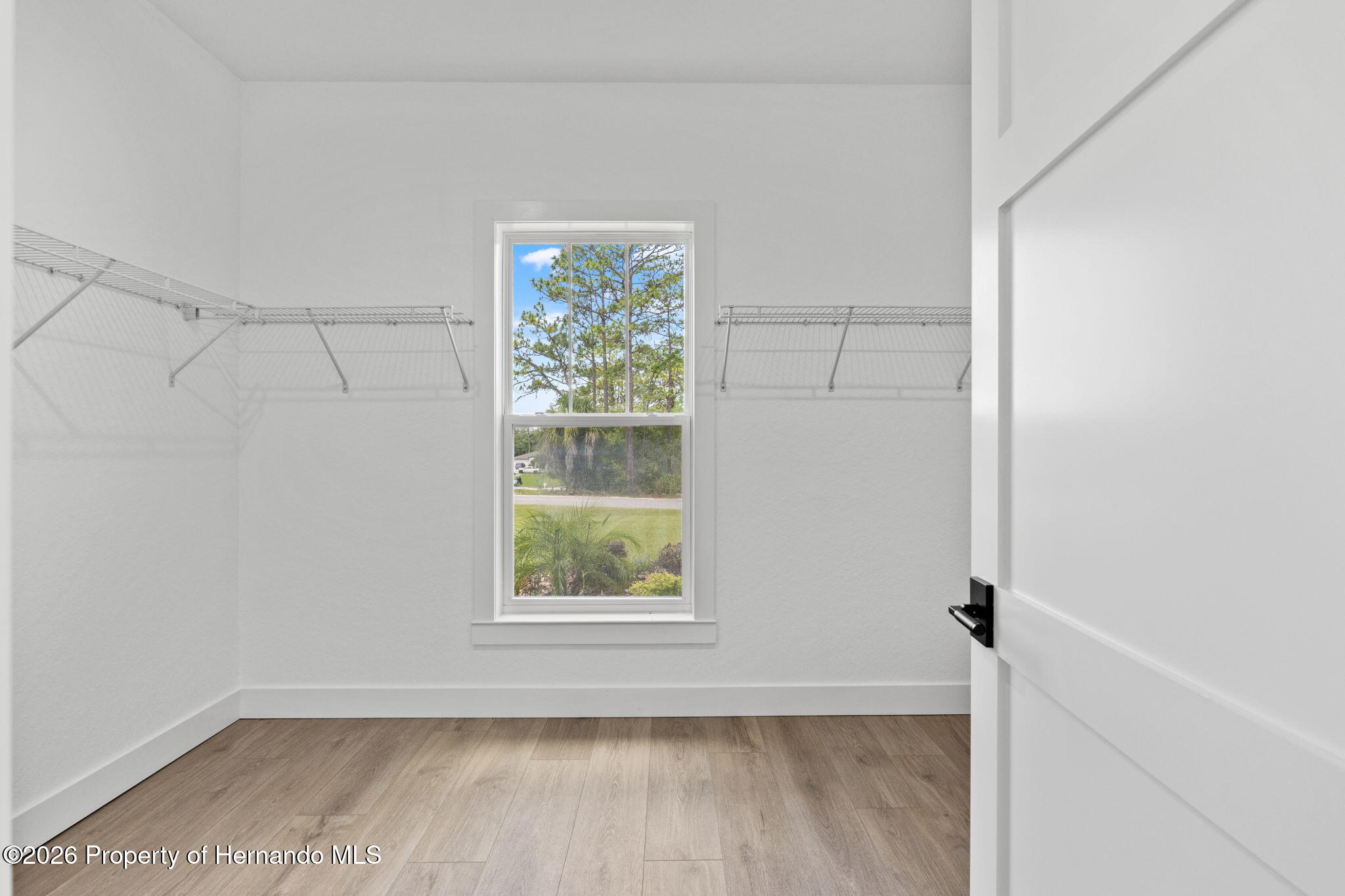 8090 Nordica Road Weeki Wachee, FL 34613 - Photo 36 of 80