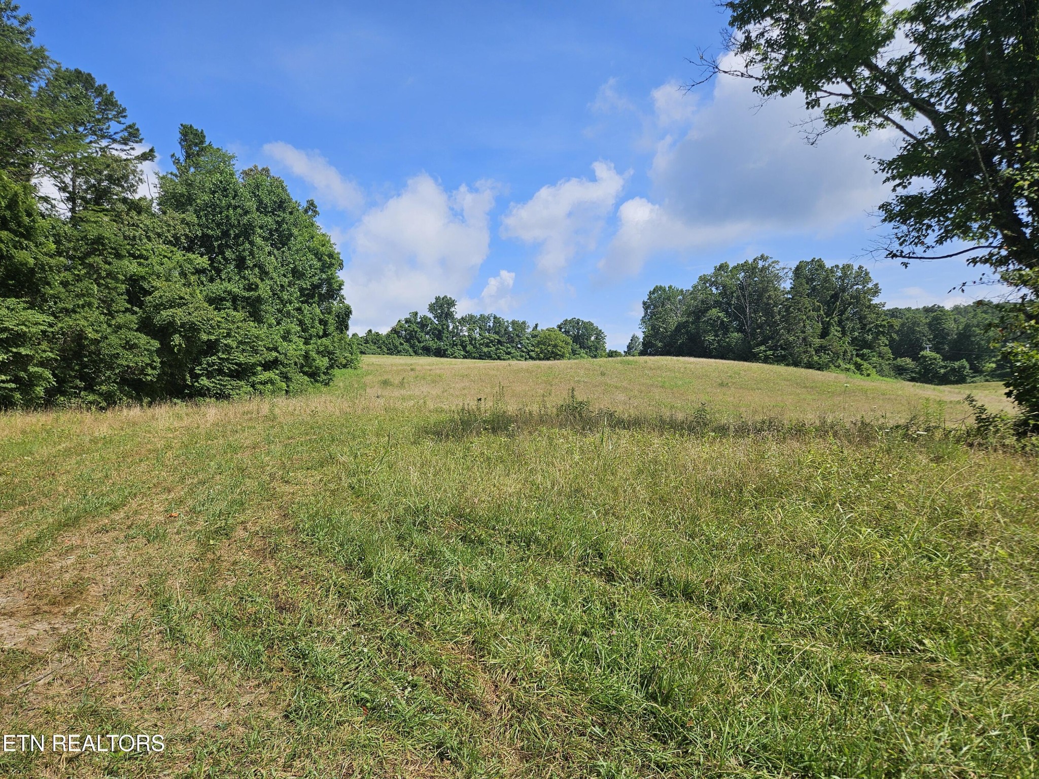 0 Hickory Valley Road Maynardville, TN 37807 - Photo 7 of 29 Gallery Image 7