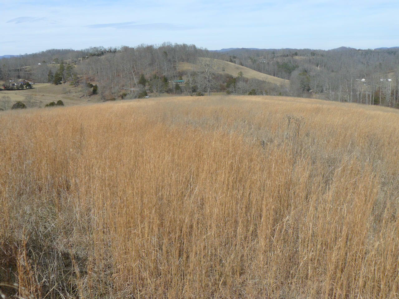 Cupp Road New Tazewell, TN 37825 - Photo 14 of 14 P1390138