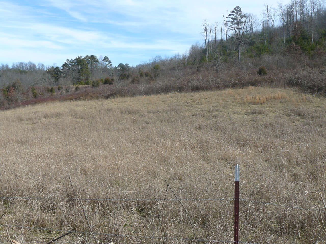 Cupp Road New Tazewell, TN 37825 - Photo 3 of 14 P1390141