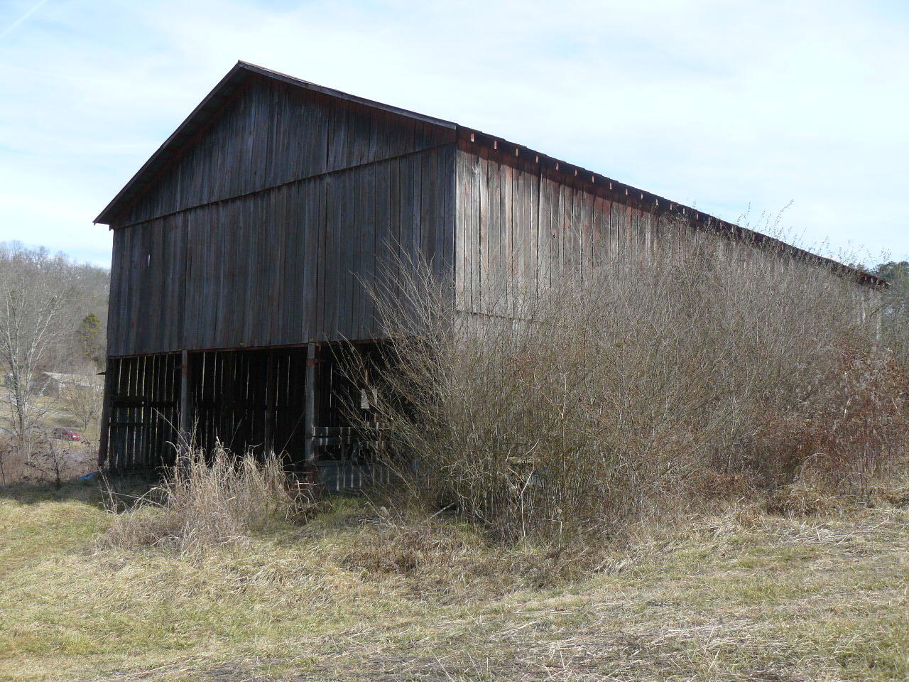 Cupp Road New Tazewell, TN 37825 - Photo 5 of 14 P1390144