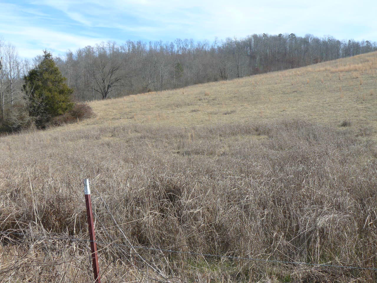 Cupp Road New Tazewell, TN 37825 - Photo 8 of 14 P1390140