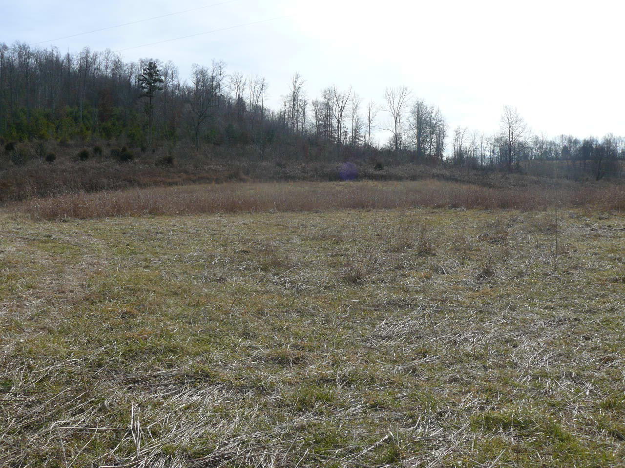 Cupp Road New Tazewell, TN 37825 - Photo 9 of 14 P1390143