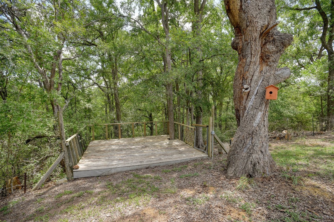 243 Piney Ridge Drive Bastrop, TX 78602 - Photo 25 of 40 a view of backyard with green space