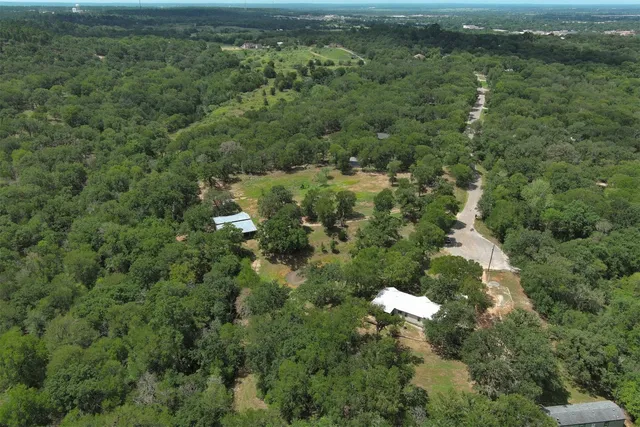a view of a forest with a houses
