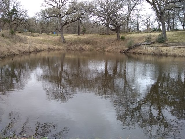 243 Piney Ridge Drive Bastrop, TX 78602 - Photo 33 of 40 a view of a lake view