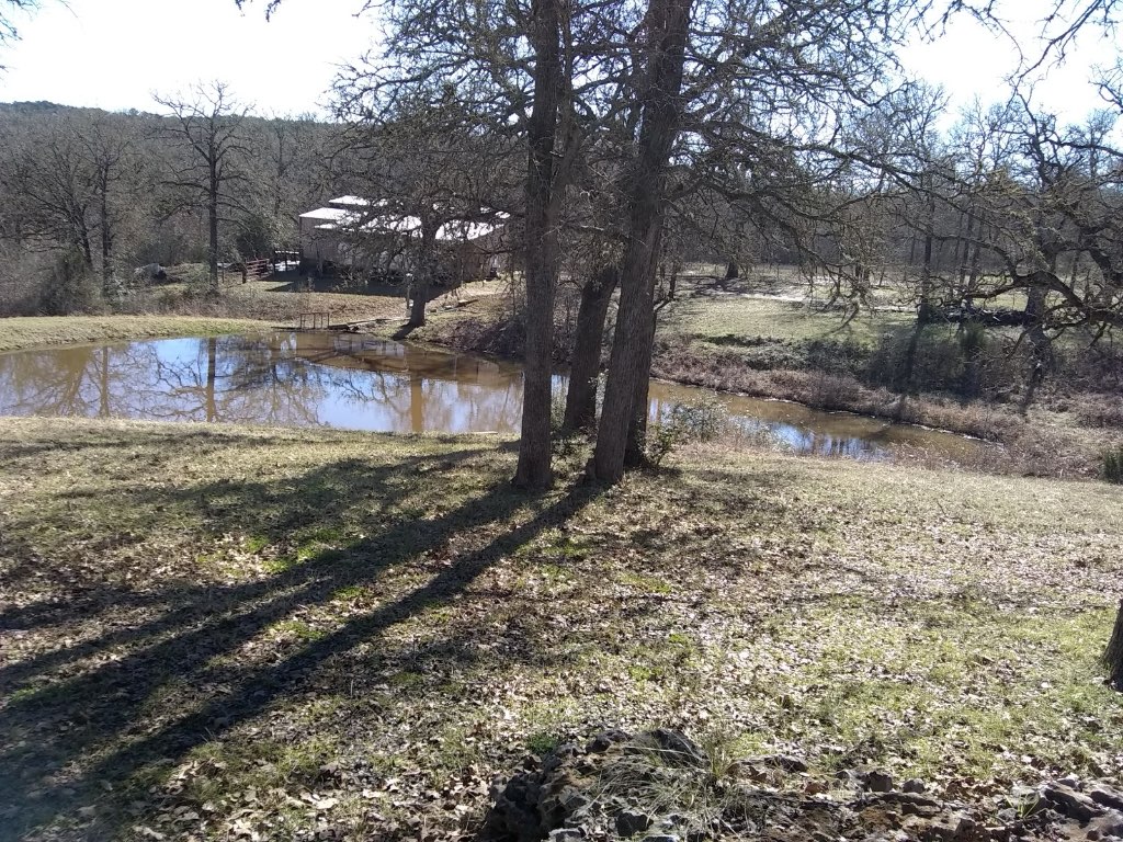 243 Piney Ridge Drive Bastrop, TX 78602 - Photo 35 of 40 a view of a yard with large trees