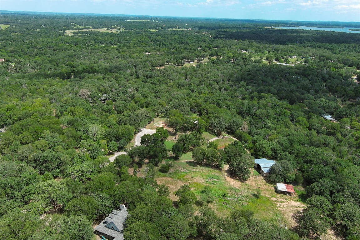 243 Piney Ridge Drive Bastrop, TX 78602 - Photo 36 of 40 a view of a green field with lots of bushes