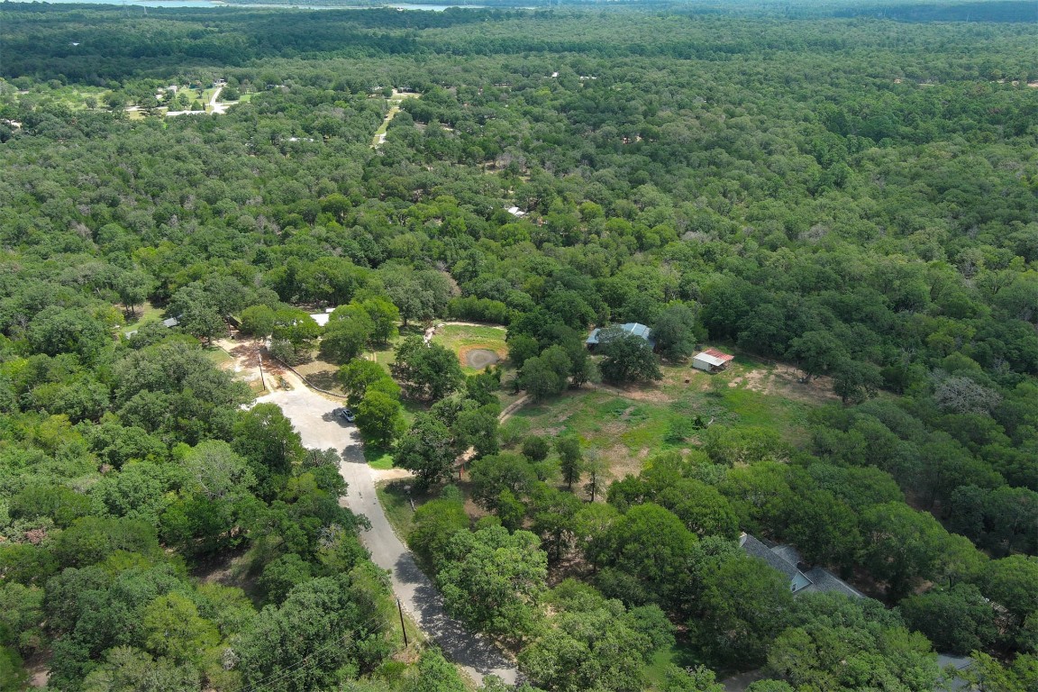 243 Piney Ridge Drive Bastrop, TX 78602 - Photo 8 of 40 a view of a lush green forest